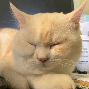 Meet your Posher, Kimin